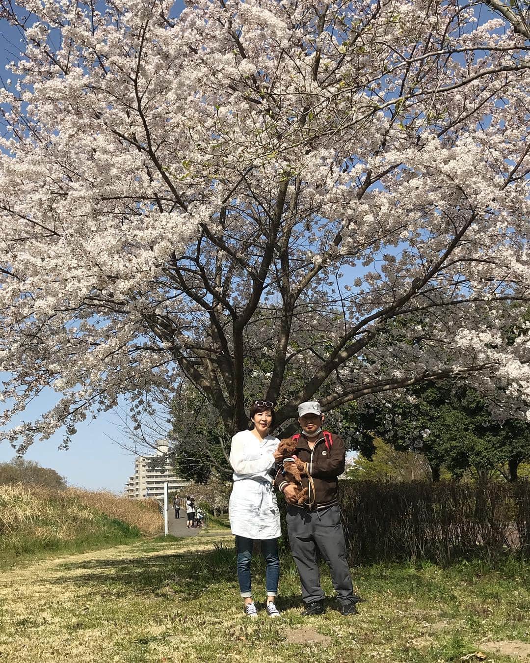 福田淳子さんのインスタグラム写真 - (福田淳子Instagram)「結婚12周年。13年目に突入。愉快な仲間と楽しい日々を過ごしています。いつもありがとう。  #sweetwitchj  #fukuhapidays」4月16日 23時12分 - junjunfukuda
