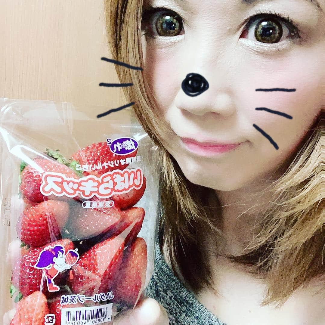 桜花由美さんのインスタグラム写真 - (桜花由美Instagram)「茨城のイチゴもらいました。 茨城はイチゴ沢山作ってるんです。 メロンの生産は日本一なんです。 茨城は住みたい街ワースト1だけど、良いところいっぱいあるんです。 ありすぎて。 幅広すぎて。 有名じゃ無いんです。  茨城良いとこ。 一度はおいで。  何も無いけど。 何でもある。 茨城。  大好きな県です。 ‪#wavepro ‬ ‪#女子プロレスラー ‬ ‪#プロレス ‬ ‪#プロレスラー ‬ ‪#女子プロレス‬ ‪#prowrestling‬ ‪#プロレスリングwave‬ ‪#株式会社zabun‬ #茨城県  #いばらき  #いばらぎじゃなくていばらき  #イチゴ  #茨城」4月16日 23時40分 - ohkayumi