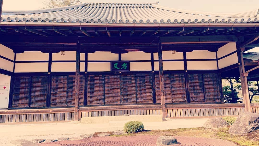 和田益典さんのインスタグラム写真 - (和田益典Instagram)「◆ 推し寺 當麻寺シリーズ . 奥院の大方丈 (書院) . 数年前まで長いこと修復されていたので、思わず撮ってしまうんです。 . 建物自体はオーソドックスな寄棟造ですが、塀の色と庭の砂が赤くて、一風変わった雰囲気を出してます。 . 一度、縁側を歩いてみたいですな。 . . . #わだます寺社巡り . #スマホ #當麻寺 #当麻寺 #大方丈 #重要文化財 #方丈 #書院 #當麻寺奥院 #奈良 #仏閣 #寺院 #寺 #お寺 #大和路 #葛城市 #塀 #石庭 #庭園 #garden #smartphone  #temple #nara #history #picture #photo #photostagram #photography #japanesegarden #japan . .」4月16日 23時56分 - masunori_wada