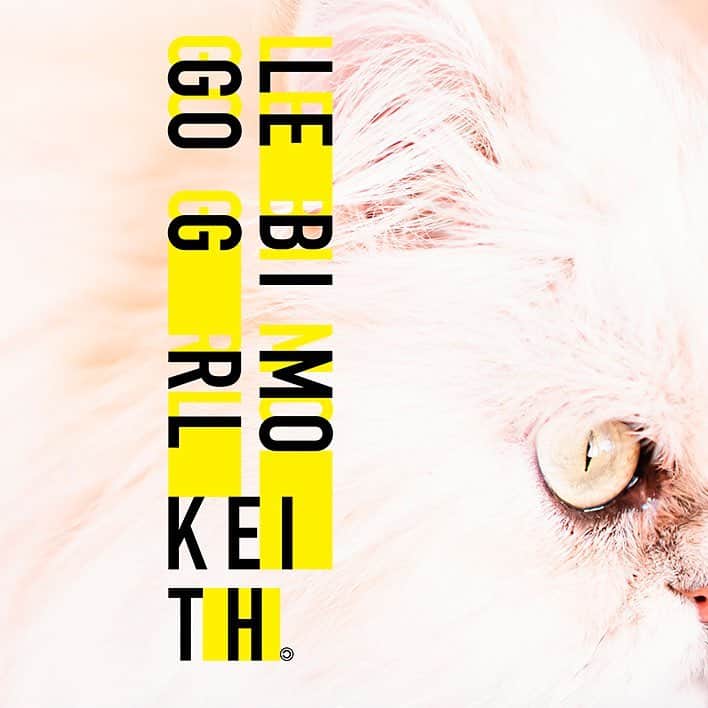 LEGO BIG MORLさんのインスタグラム写真 - (LEGO BIG MORLInstagram)「LEGO BIG MORL  New Album 「KEITH」 本日、 ただいま０時より配信リリース‼️ 🎧下記配信サイトにて https://DigitalDistribution.lnk.to/KEITH  #LEGOBIGMORL #KEITH #猫 #ペルシャ猫」4月17日 0時00分 - legobigmorl