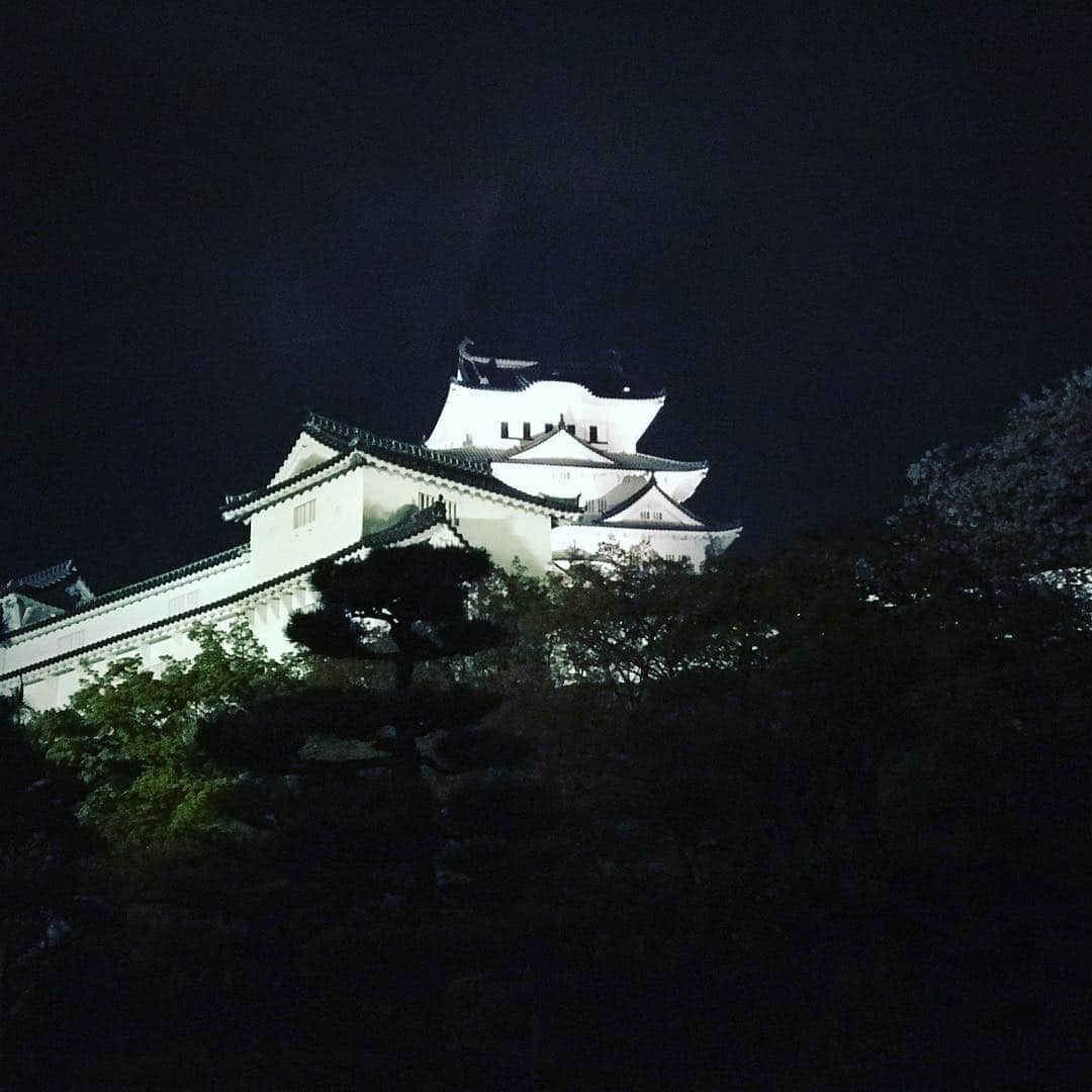 塚田文さんのインスタグラム写真 - (塚田文Instagram)「城・城と来たらやはり、城！  白鷺城ならぬ白過ぎ城と呼ばれる姫路城🏯の夜景です。携帯カメラで夜景はほぼ無理ってことが分かりました😅  ギリギリ“城と桜”のコラボ間に合いました？  数枚目…デタっ😰❗️ってゆう類の写真ではありませんので、悪しからず。  なかなか強めの雨の中で、急きょお散歩ドライブ。ほとんどとんぼ返りで帰りましたけど💦  #2019桜 #兵庫県 #姫路城 #白鷺城 #白過ぎ城 #夜桜 #心霊写真ではございません  #japantrip #japantravel #cherryblossom #hyogo #himejicastle #himejijo」4月17日 0時07分 - tsukadaaya1976