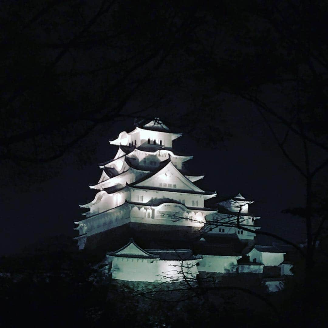 塚田文さんのインスタグラム写真 - (塚田文Instagram)「城・城と来たらやはり、城！  白鷺城ならぬ白過ぎ城と呼ばれる姫路城🏯の夜景です。携帯カメラで夜景はほぼ無理ってことが分かりました😅  ギリギリ“城と桜”のコラボ間に合いました？  数枚目…デタっ😰❗️ってゆう類の写真ではありませんので、悪しからず。  なかなか強めの雨の中で、急きょお散歩ドライブ。ほとんどとんぼ返りで帰りましたけど💦  #2019桜 #兵庫県 #姫路城 #白鷺城 #白過ぎ城 #夜桜 #心霊写真ではございません  #japantrip #japantravel #cherryblossom #hyogo #himejicastle #himejijo」4月17日 0時07分 - tsukadaaya1976