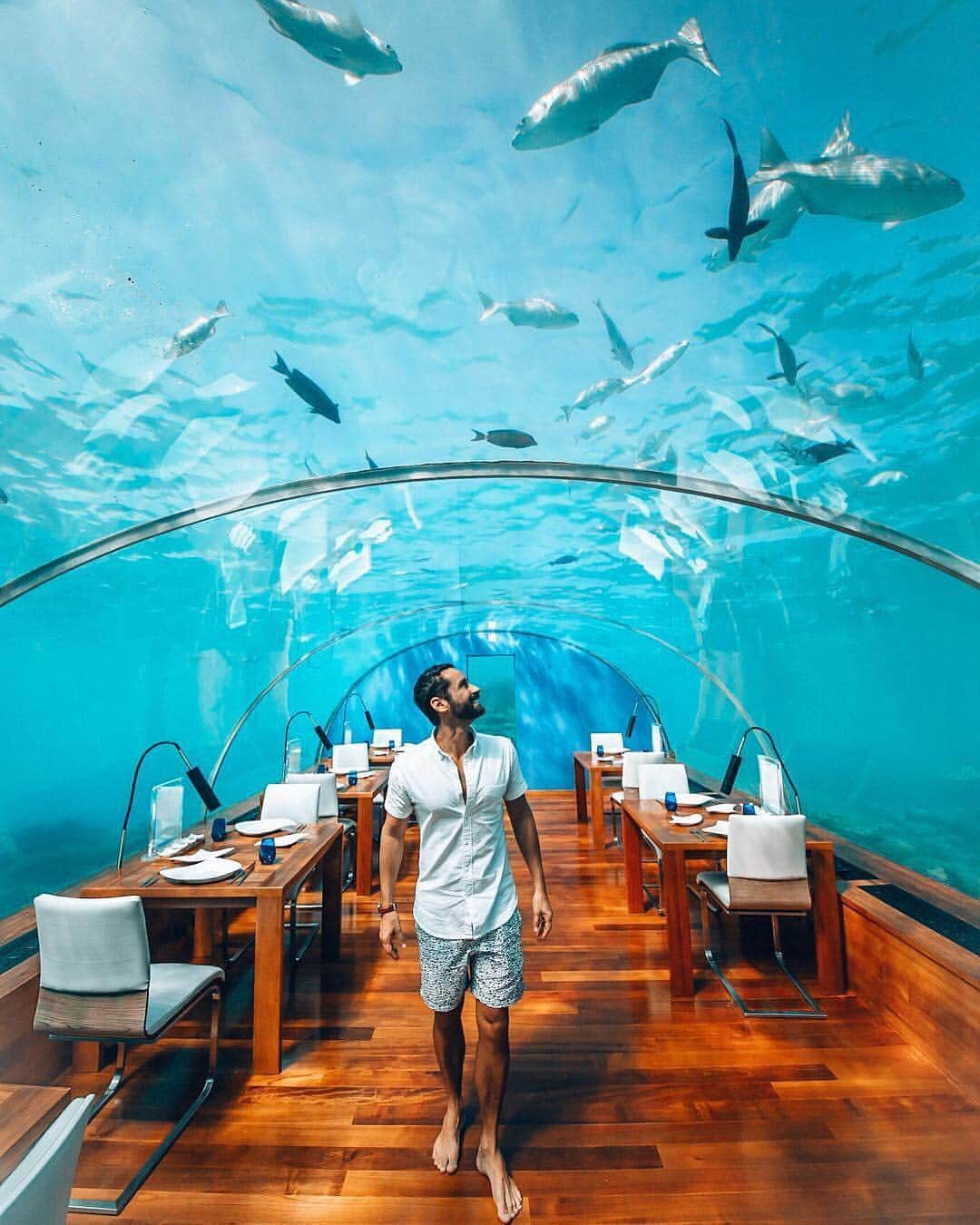 Travel + Leisureさんのインスタグラム写真 - (Travel + LeisureInstagram)「Forget overwater bungalows —  at this Maldives resort, you can rent an underwater villa or dine at an undersea restaurant. Find out more at our link in bio! #tlpicks courtesy of @andredemello」4月17日 0時16分 - travelandleisure