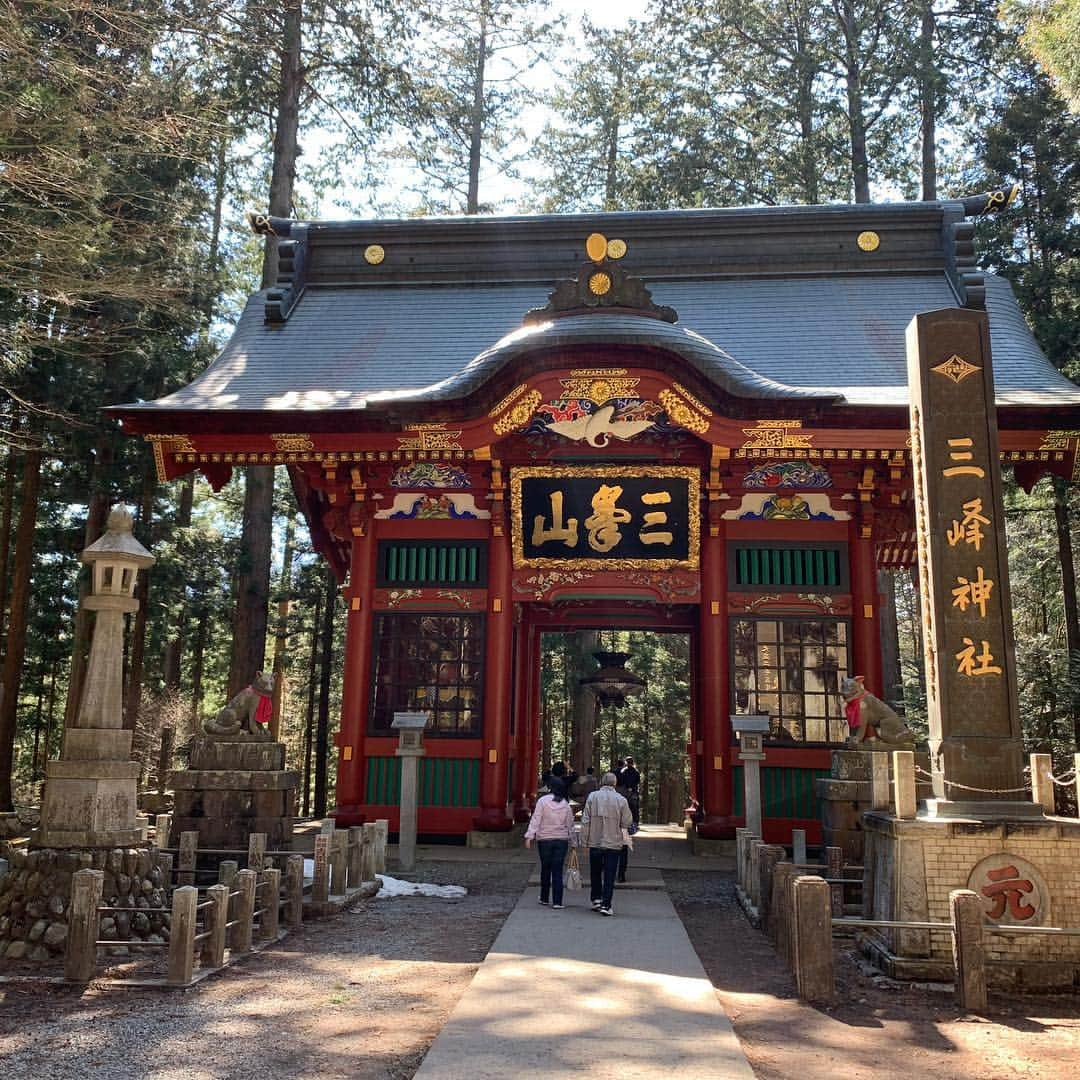 木本夕貴さんのインスタグラム写真 - (木本夕貴Instagram)「三峯神社⛩ 関東最大のパワースポットと言われる神社⛩🌈✨ 秩父神社と共に、秩父三社のひとつ⛩ オオカミが狛犬さんの代わりにいて、使いの神なんだって🐺💕 明確な強い意志がある人に強い運気を持ってきてくれるんだそう✨✨✨🙋‍♀️ 中にはとっても綺麗な社殿があって、しっかりお守りもゲット！ たくさんお参りするところもあります✨ あと、やっぱり森の中にあるから空気が澄んでて心が落ち着きます💭 御神木からのパワーももらえます✊ 明日からの撮影のパワーをもらいました✊✨ また絶対いきたい神社です⛩💕 最後の写真は秩父錦ってゆう地酒😆💕」4月17日 1時12分 - yuuki___kimoto