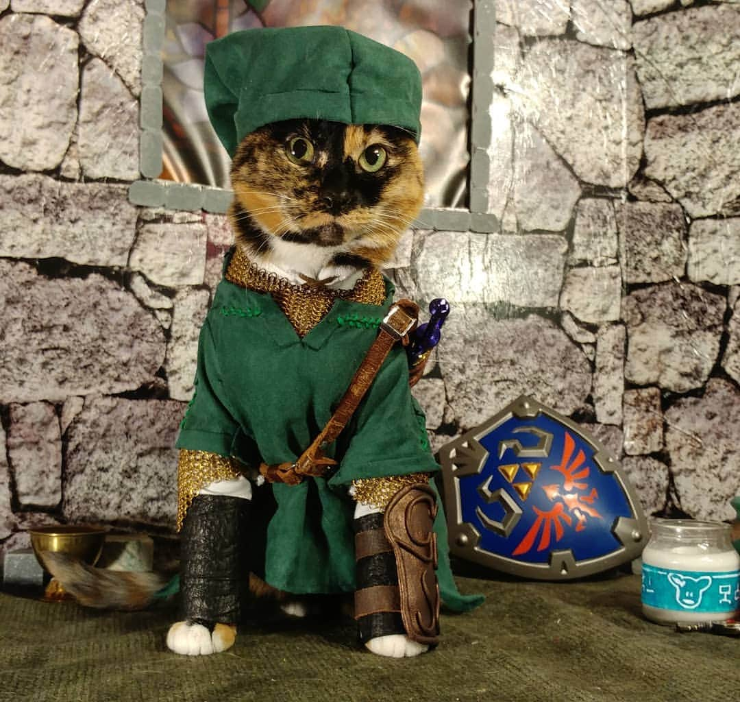 猫コスプレさんのインスタグラム写真 - (猫コスプレInstagram)「That moment when you enter a house... and it's full of clay pots.  #LegendofZelda #CatCosplay #link . . . . . . . #loz #lozfanart #legendofzeldacosplay #legendofzeldafanart #lozcosplay #linkcosplay #linkfanart #catcostume #Nintendo #nintendocosplay #thelegendofzelda #chainmail」4月17日 1時22分 - cat_cosplay