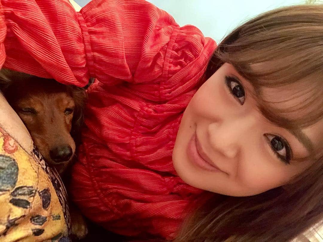 金山睦さんのインスタグラム写真 - (金山睦Instagram)「帰ってきてからの幸せな時間🐕🐕💕 #わんこ #ダックスフンド #カニンヘンダックスフンド #dog #dogsofinstagram #dogstagram #dachshund」4月17日 1時41分 - kanayama_chika