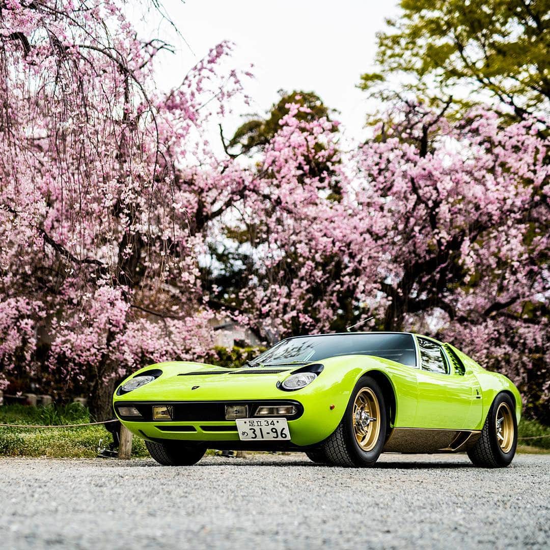 ランボルギーニのインスタグラム：「The 1971 Lamborghini Miura SV won in the “Lamborghini 1963-1970” class and got the “Best Lamborghini” award at the Concorso d’Eleganza in Kyoto. Previously, it also got the “Best of Show” title at the “Lamborghini & Design - Concorso d’Eleganza” in Neuchatel in 2017. Photo by @remidargegenphotographies.  #Lamborghini #PoloStorico #MiuraSV #Kyoto」