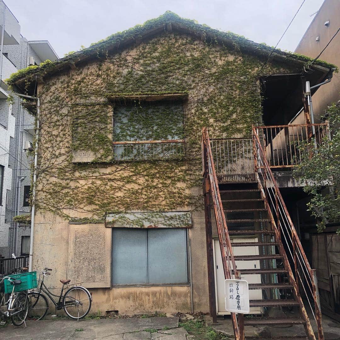 宙也さんのインスタグラム写真 - (宙也Instagram)「古アパート。」4月17日 13時32分 - chuya_aquarius