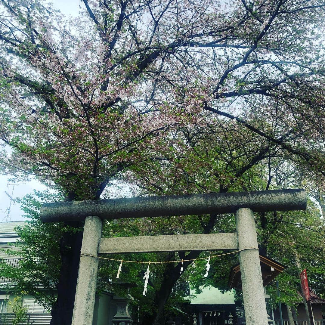 宙也さんのインスタグラム写真 - (宙也Instagram)「神社参り。」4月17日 13時33分 - chuya_aquarius