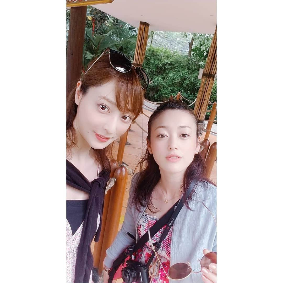 池田夏希さんのインスタグラム写真 - (池田夏希Instagram)「Bali Zoo🐒🐘🐴🐯🐗🐾 . . #バリ島 #海外旅行 #観光 #動物園 #バリ動物園 #動物との距離が近い #園内バスで移動 #動物に #癒された #bali #baliindonesia #travel #travelphotography #tourism #animalpak #balizoo #healing」4月17日 12時11分 - natsukiikeda624