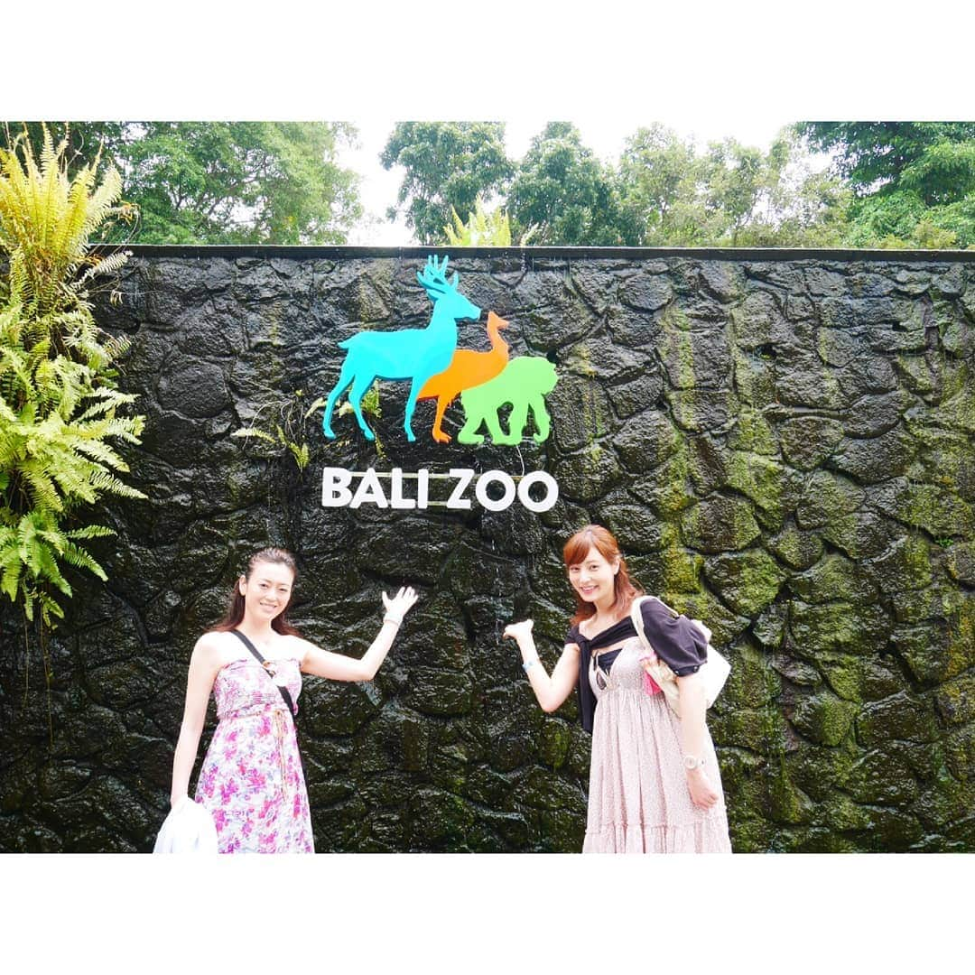 池田夏希さんのインスタグラム写真 - (池田夏希Instagram)「Bali Zoo🐒🐘🐴🐯🐗🐾 . . #バリ島 #海外旅行 #観光 #動物園 #バリ動物園 #動物との距離が近い #園内バスで移動 #動物に #癒された #bali #baliindonesia #travel #travelphotography #tourism #animalpak #balizoo #healing」4月17日 12時11分 - natsukiikeda624