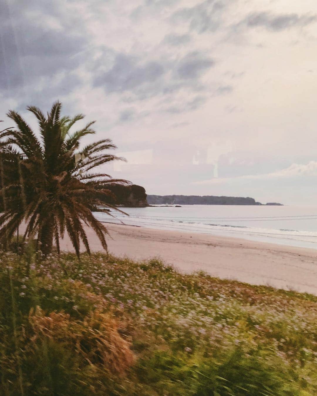 Tamikoのインスタグラム：「I hope you always feel the ocean and have flowers in your heart 🌸 Snap from today’s magical location. 今日のロケ。日本の海もマジカルで素敵  #bts」