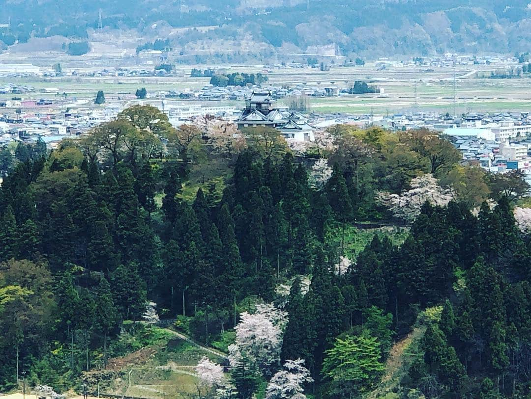 鷹木信悟さんのインスタグラム写真 - (鷹木信悟Instagram)「🐉🏯🌸 #越前大野城  #福井」4月17日 12時38分 - takagi__shingo