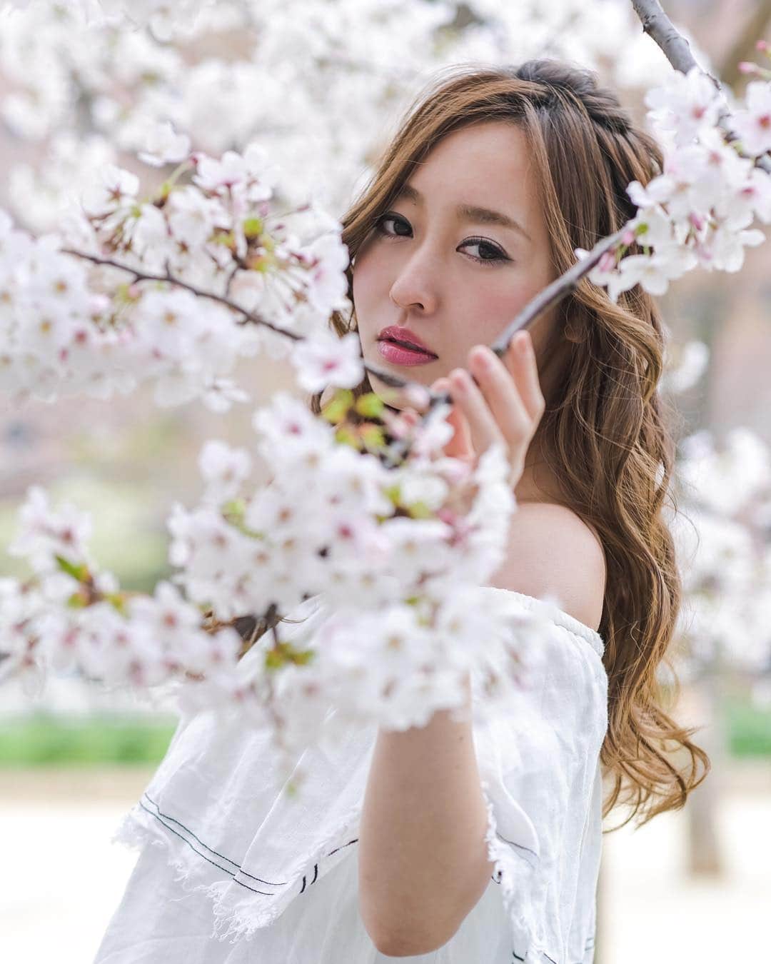 のインスタグラム：「「3秒以内に答えて」﻿ ﻿ ﻿ ﻿ #photographer @headman_tossy﻿ ﻿ ﻿ ﻿ ﻿ ﻿ #って言ってそうな顔﻿ #sakura #桜 #堀江公園 #作品撮り」
