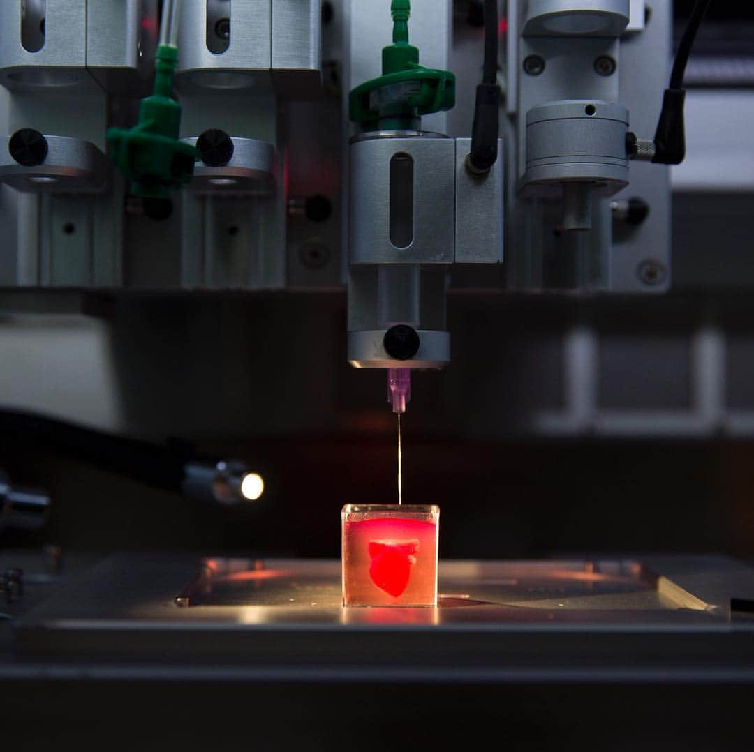 NBC Newsさんのインスタグラム写真 - (NBC NewsInstagram)「Scientists in Israel unveiled a 3D print of a heart with human tissue and vessels, calling it a first and a "major medical breakthrough" that advances possibilities for transplants. . 📷 Jack Guez / @afpphoto 📷 @odedbalilty / @apnews」4月17日 13時06分 - nbcnews