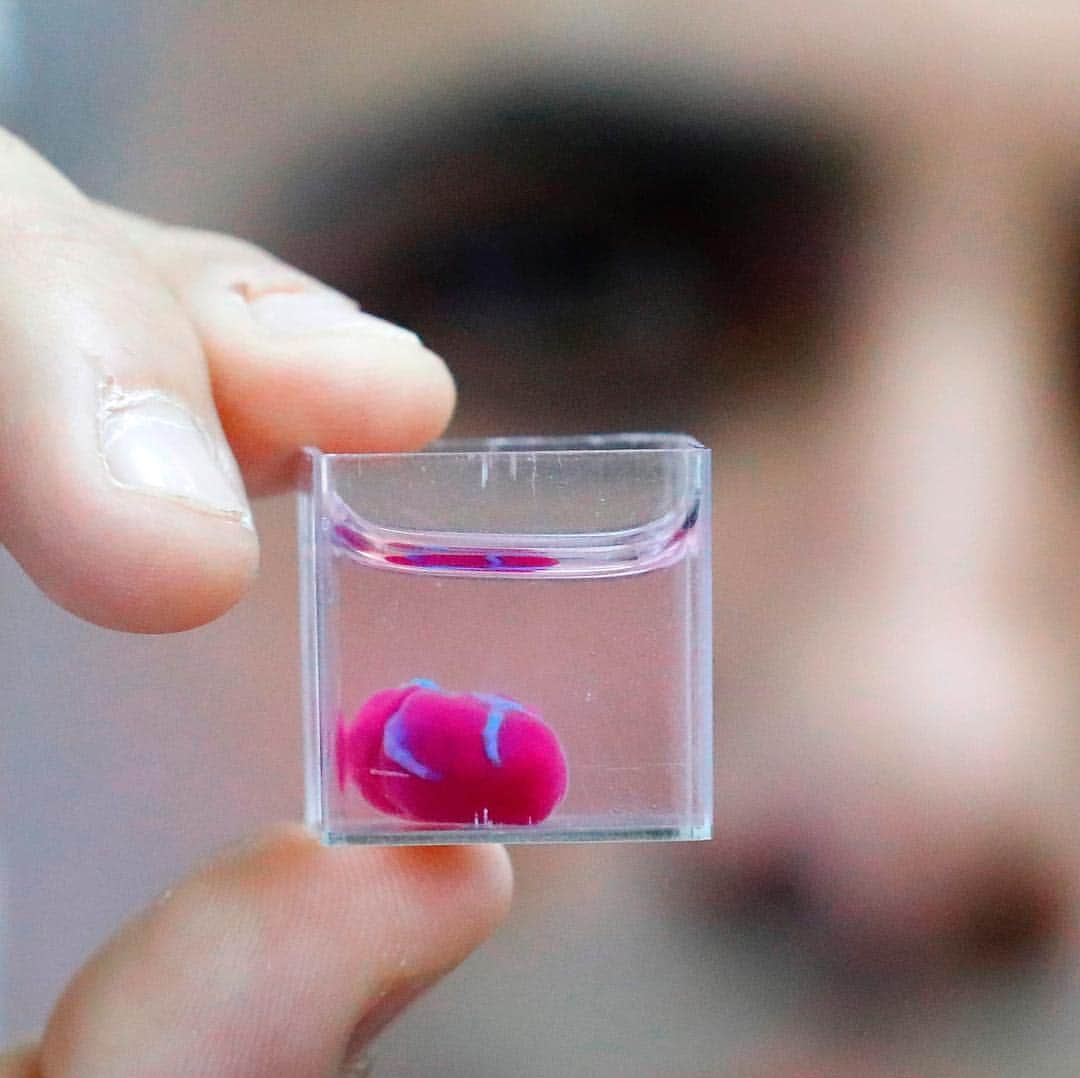 NBC Newsさんのインスタグラム写真 - (NBC NewsInstagram)「Scientists in Israel unveiled a 3D print of a heart with human tissue and vessels, calling it a first and a "major medical breakthrough" that advances possibilities for transplants. . 📷 Jack Guez / @afpphoto 📷 @odedbalilty / @apnews」4月17日 13時06分 - nbcnews