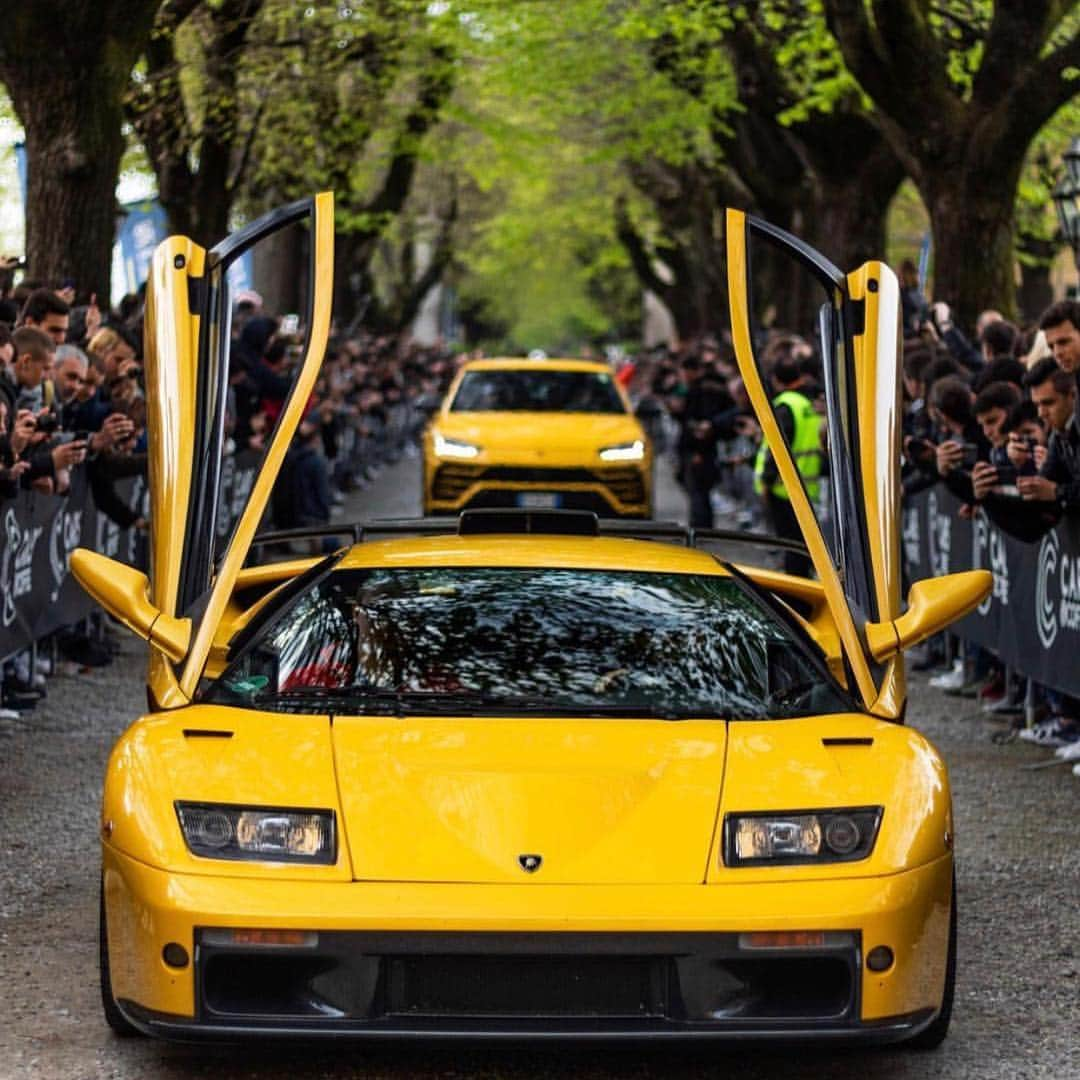 CarsWithoutLimitsさんのインスタグラム写真 - (CarsWithoutLimitsInstagram)「Show stopper 🐥 Photo @colin_poudroux_photography  #carswithoutlimits #lamborghini #diablo #urus」4月17日 4時51分 - carswithoutlimits