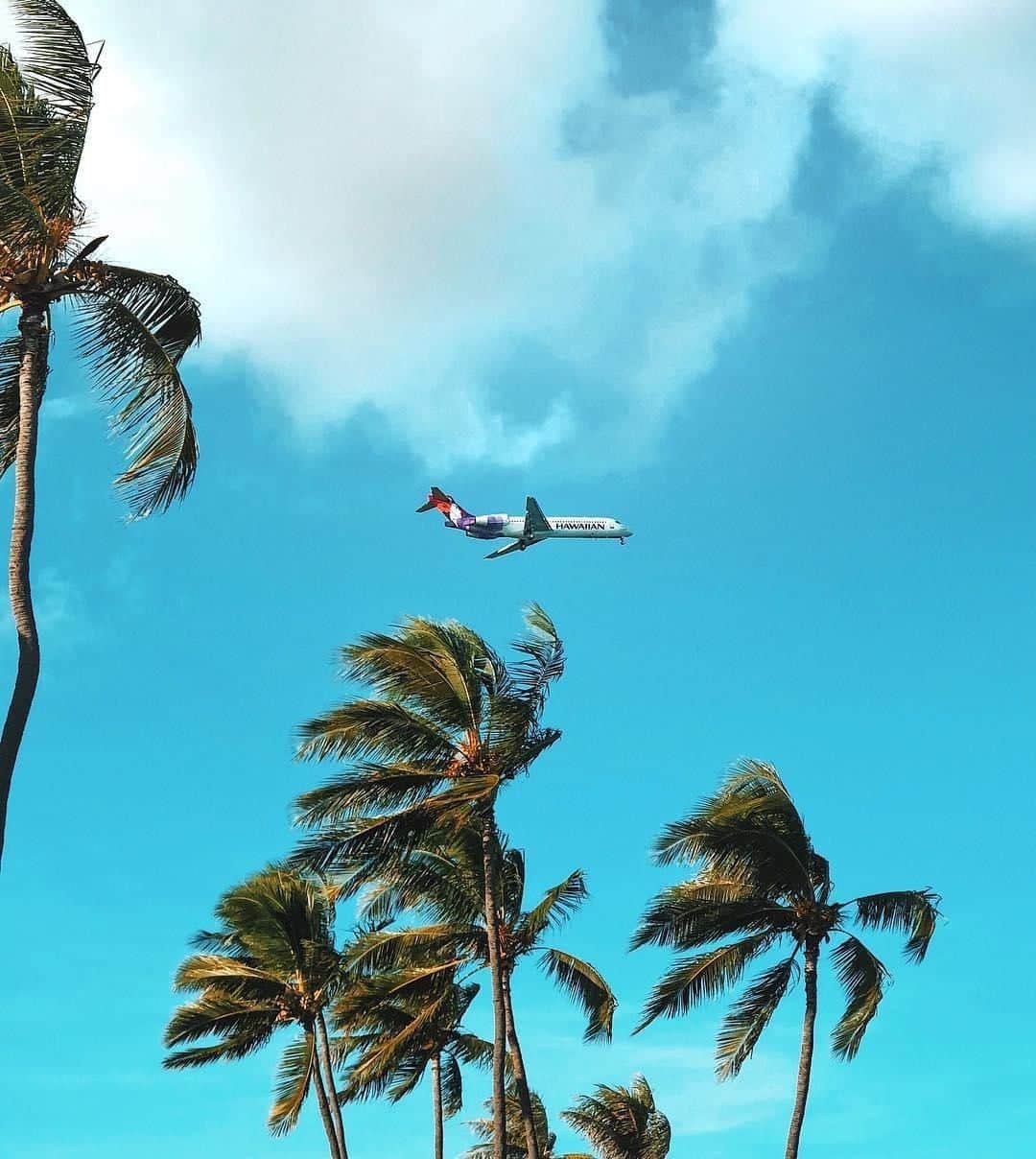 ハワイアン航空さんのインスタグラム写真 - (ハワイアン航空Instagram)「Let's go somewhere! ✈️ Which destinations are on your list to travel to next? 📷: @balancedlifealoha. #TravelTuesday #AvGeek」4月17日 5時30分 - hawaiianairlines
