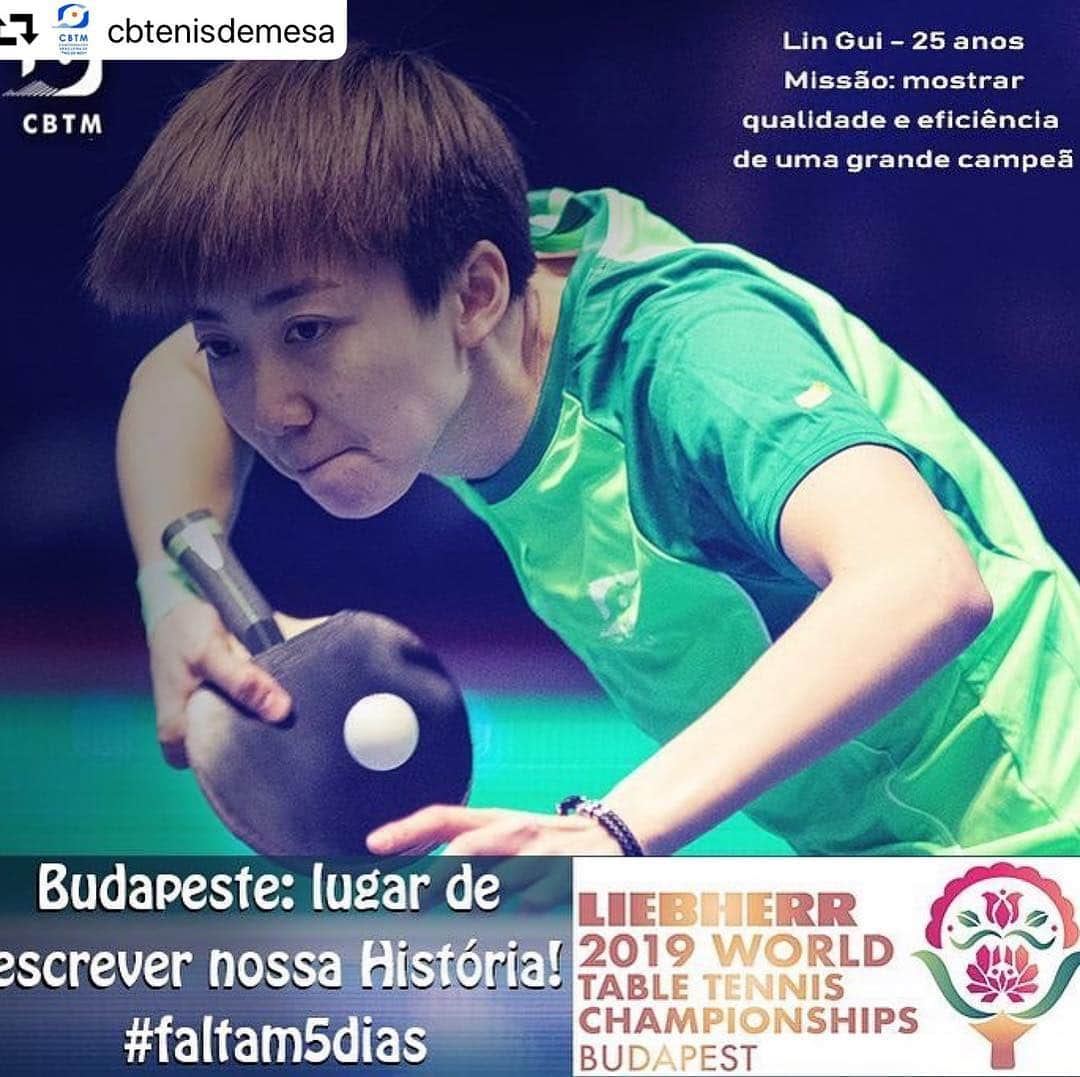 リン・グイのインスタグラム：「👊🏻🏓️🇧🇷 #wttc2019budapest #worldchampionships #budapest #2019 #cbtm #timebrasil #racabrasil #joola #joolabrasil #joolausa #tabletennis #tenisdemesa」