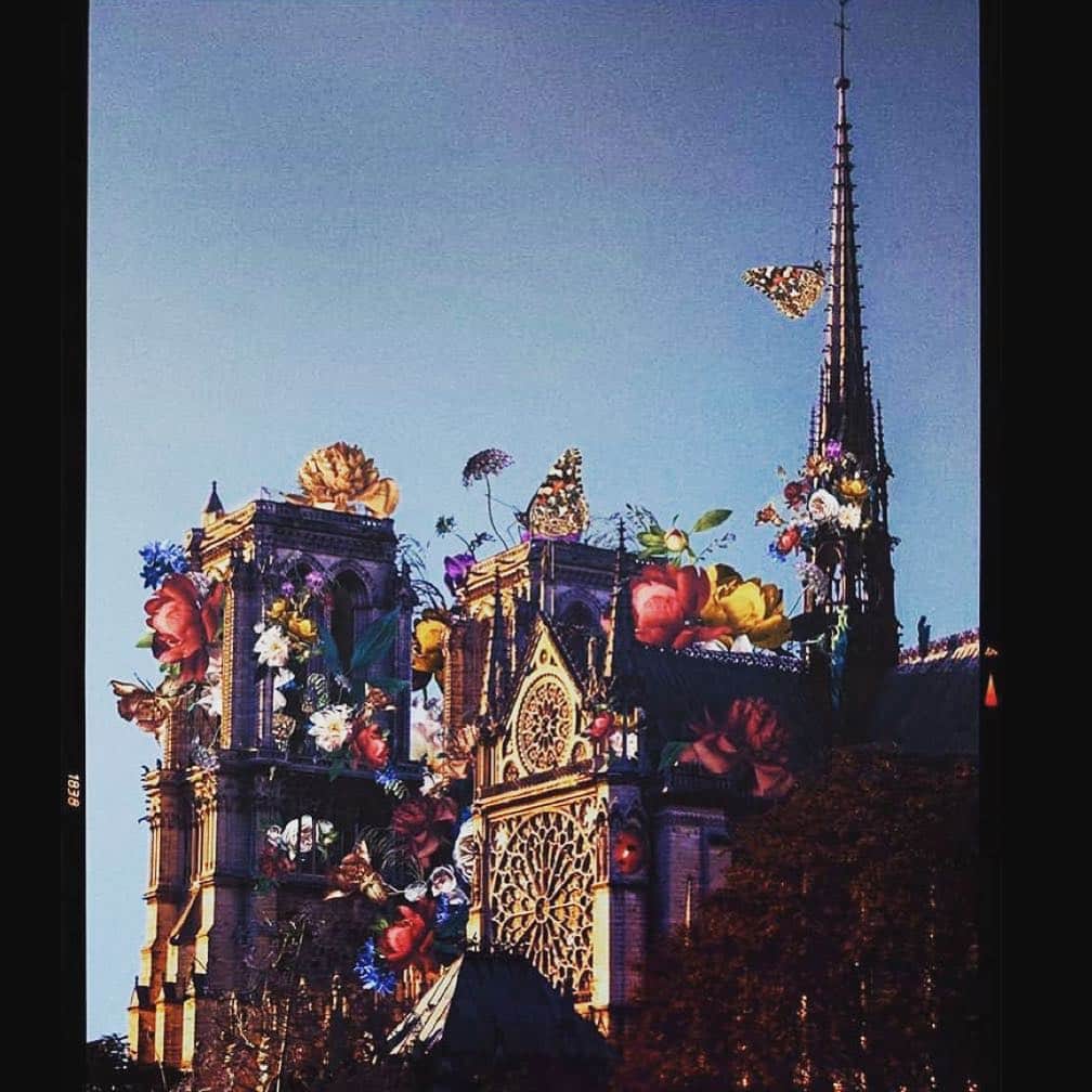 アレクシマビーユのインスタグラム：「After this chaos @notredamedeparis  need to bloom again . thanks @karencantuq for this beautiful collage of the cathedral rebirth #notredame #notredamedeparis #chaos #rebirth #bloom #flowers #history」