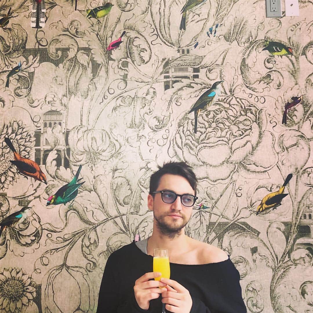 リチャード・ハーモンのインスタグラム：「You can’t Instagram bird walls like we do. I am the only bird of Instagram. #birdsofinstagram #venusandthemimosa」