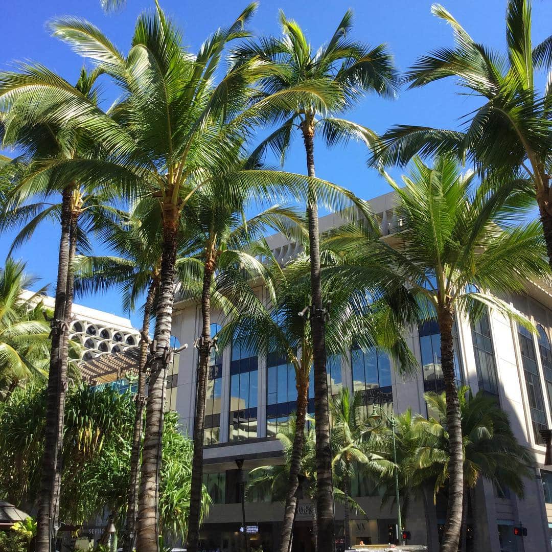 Belle Vie Hawaiiさんのインスタグラム写真 - (Belle Vie HawaiiInstagram)「昨日までの強風がやんで﻿ 今日は暑くなりそうです☀️﻿ ﻿ ﻿ ﻿ ﻿ #belleviehawaii #hawaii﻿ #waikiki #waikikibeach﻿ #aloha #honolulu﻿ #hawaiicosmetics﻿ #hawaiilife #honoluluhawaii﻿ #ハワイ #ベルヴィー﻿ #ハワイ旅行 #ハワイ好き﻿ #ハワイ大好き #アロハ﻿ #ハワイコスメ #ハワイ買い物﻿ #ワイキキ #ワイキキビーチ﻿ #ホノルル #ハワイ生活﻿ #ハワイ好きな人と繋がりたい﻿」4月17日 7時04分 - belleviehawaii