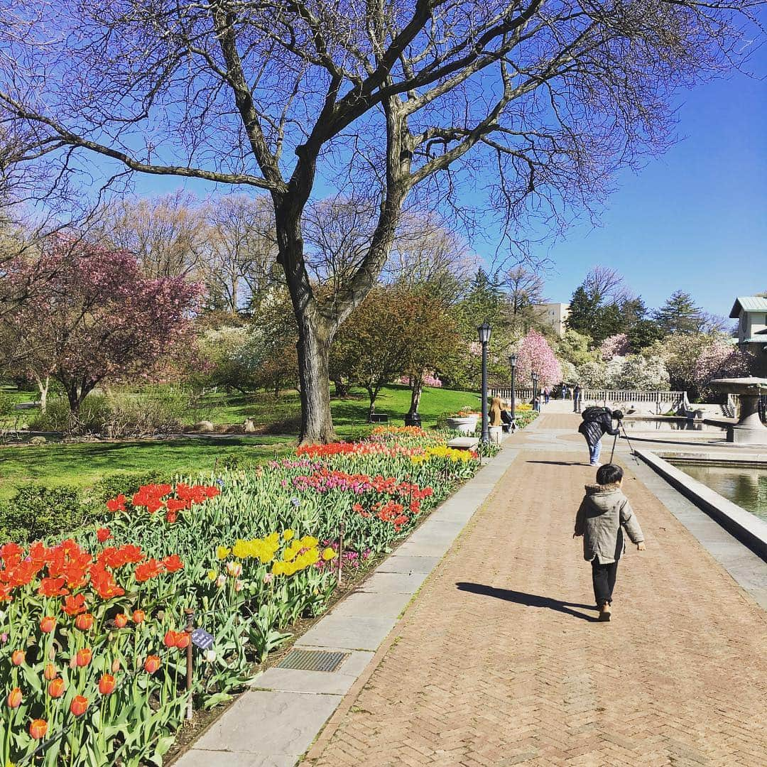 Ka-Naさんのインスタグラム写真 - (Ka-NaInstagram)「Spring is finally here :)!!! I can’t wait to perform at Brooklyn Botanic Garden on April 28th!!! It should be fun and beautiful ;) #brooklyn#botanicalgarden#cherryblossomfestival」4月17日 7時06分 - kanajpop