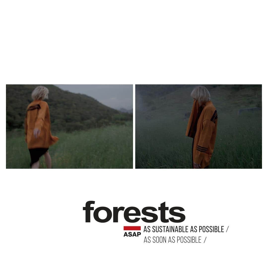 オスクレンさんのインスタグラム写真 - (オスクレンInstagram)「ASAP Forests | Casaco Over Stripes ______________________________________ Nas lojas e osklen.com.br [link na bio]  #osklen #forests」4月17日 7時30分 - osklen