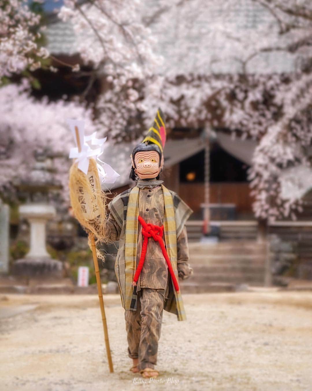 コサさんのインスタグラム写真 - (コサInstagram)「瑠璃寺の桜を見に行くと、偶然だけど獅子舞の祭りの日だったようです😁 猿の格好をした子どもたちが登場🐵 獅子舞も見たかったがタイムオーバーで次の場所へ🚙 . Location:長野 Nagano/Japan Data:2019.4.14 . #art_of_japan_ #tokyocameraclub #dpj_member #team_jp_ #IG_PHOS #photo_jpn #ptk_japan #pt_life_ #bestjapanpics #Lovers_Nippon #Japan_Daytime_View #LBJ_桜2019 #apj_桜フェス2019﻿ #as_桜2019 #team_jp_春色2019 #花びら大回転2019 #rox_sp2019 #light_nikon #special_spot_member #nipponpic_member #IGersJP #sorakataphoto #LBJ_members #広がり同盟メンバー #桜旅のセカイ #japanlives #explorejpn #japan_of_insta #photo_travelers #jp_portrait部」4月17日 7時32分 - kosa_photo