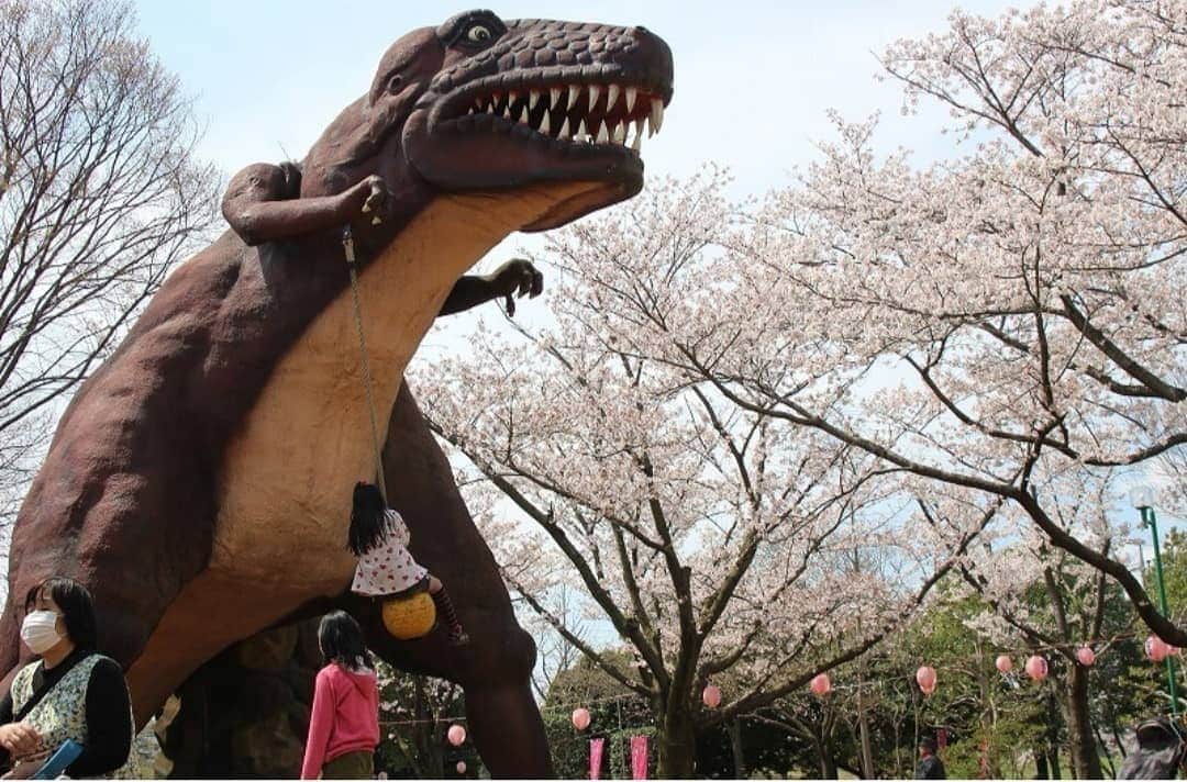 iko-yo（いこーよオフィシャル）さんのインスタグラム写真 - (iko-yo（いこーよオフィシャル）Instagram)「4月17日は、#恐竜の日 だそう🦖✨ 子供が大好きな#恐竜 をテーマにしたイベントやスポットは親子に大人気のおでかけ先😆👍 ・ いこーよの最新記事では、#GW に楽しめるおすすめの#恐竜イベント をまとめて紹介しています👐ぜひチェックしてください😆❤️ ・ 記事は、プロフィールURLから「いこーよ」トップ⏩【子育て】⏩【おでかけ】からご覧ください☺️🌟 ・ ✨いこーよ公式インスタグラム✨ @ikoyo_official では、みなさんの、子育てやおでかけに関する写真を募集してい  2️⃣#いこーよ をTag✨ の手順で写真をご投稿ください😊❤️ ✴︎ ✨特に魅力的な写真は、公式instagramをはじめ、いこーよ内の記事御菓子でもご紹介&使用させていただく事がございます📝✨ ✴︎ 子どもに関するも-のなら、どんなものでもOK🐼🐼‼︎🙆🏼✨😝_ 自慢したくなるような「オシャレ」で「可愛い」写真 思わず笑ってしまうような「オモシロ」写真😆 心　が和む「ホッコリ」写真☺️などなど… #いこーよ のハッシュタグを付けて、ご投稿ください🌟 ✴︎## ✴︎ 沢山のご投稿、お待ちしております‼︎🙇🏼❤️❤️ ✴︎✴︎✴︎✴︎✴︎ #ゴールデンウィーク #子連れ #いこーよ #子育て #子ども #親バカ部  #baby #kids #instagood #webstagram #follow #ママカメラ #キッズレート #キッズポートレート #単焦点レンズ #instababy #ig_kidsphoto #kidsgram_tokyo #ig_baby #ig_kids #子育てぐらむ #ママライフカメラ #親子 #イベント」4月17日 7時55分 - ikoyo_odekake