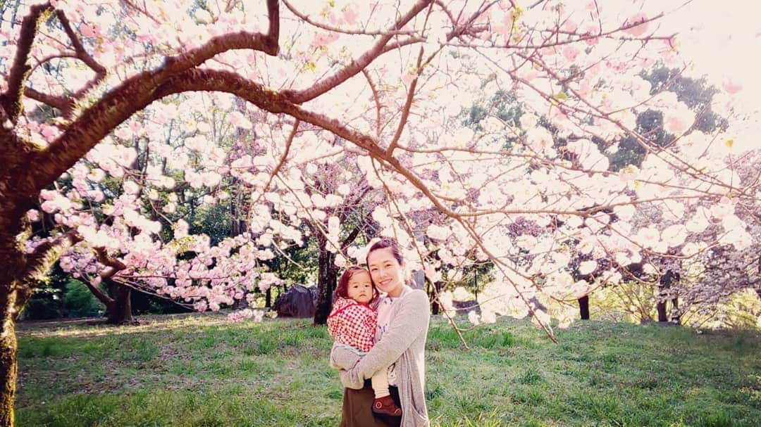 吉村美樹さんのインスタグラム写真 - (吉村美樹Instagram)「八重桜が満開でした🌸日本の四季って素晴らしい。 #小金井公園 #八重桜 #ボタン桜 #満開 #綺麗 #日本の四季 #花 #🌸 #母と娘 #お花見 #ピクニック #👶」4月17日 13時38分 - yoshimuramiki0911