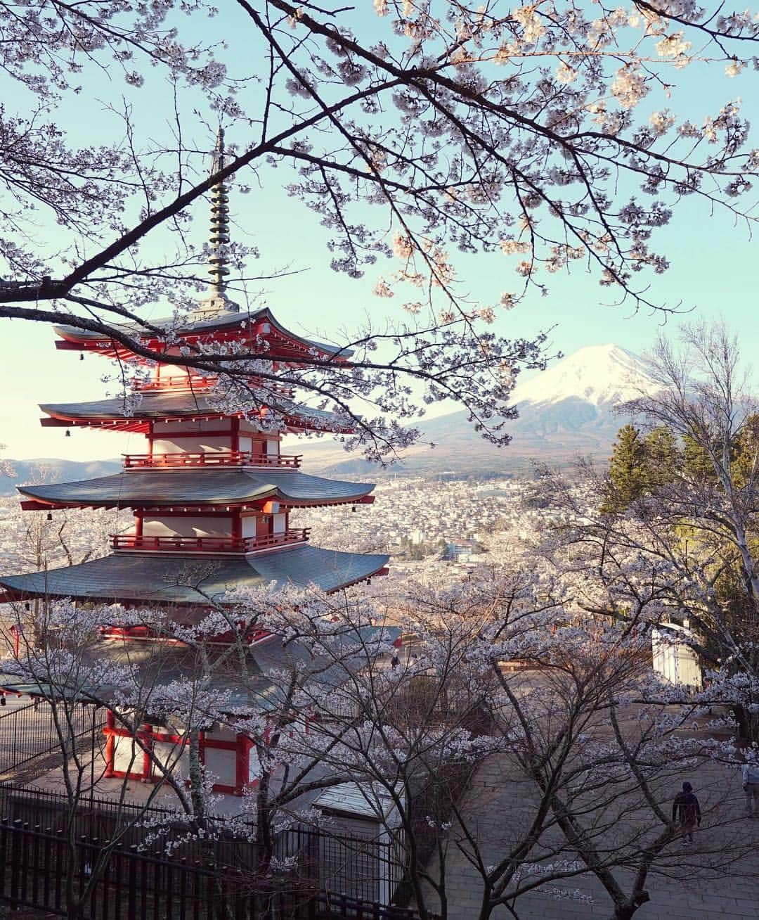 masayaさんのインスタグラム写真 - (masayaInstagram)「新倉山浅間公園 Arakurayamasengen Shrine  ここも2回目。前と違うのは展望台ができていたこと。時間帯は知らないが、週末撮影するのに1時間半待ちだったと言っていた。この日も展望台からなかなか動かない人たちを丁寧に謝り掻き分け、とりあえずメイン側も素早く抑えました。桜は今週末がピークだと思います。 #Fuji #MtFuji #shrine #Japan #山梨県」4月17日 13時39分 - moonlightice