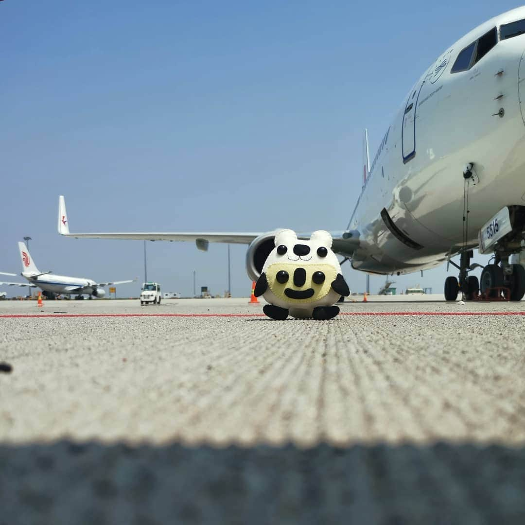 大石暁規さんのインスタグラム写真 - (大石暁規Instagram)「#chinaeasternairlines #中国東方航空」4月17日 13時41分 - akinori_oishi