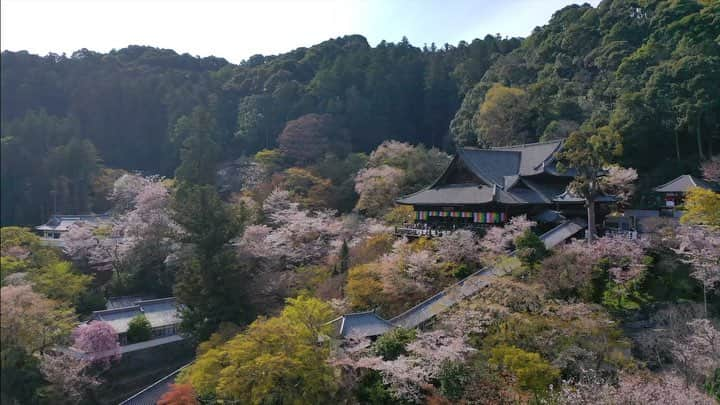 奈良 長谷寺 / nara hasederaのインスタグラム