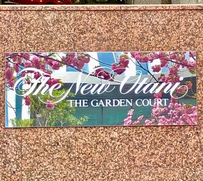 ホテル ニューオータニさんのインスタグラム写真 - (ホテル ニューオータニInstagram)「A row of Yae-sakura(double-flowered cherry blossom) on the Kioicho street is now in full bloom! Take a stroll along Hotel New Otani Tokyo Garden Tower and Garden Court to enjoy the pink tunnel. ホテルニューオータニのガーデンタワー・ガーデンコートが面する紀尾井町通りでは、八重桜が見頃を迎えています。ホテルに沿うように並んだ満開の八重桜は圧巻です。  #八重桜 #満開 #桜並木 #紀尾井町 #お花見 #見頃 #お散歩 #ガーデンタワー #ガーデンコート #ホテルニューオータニ #cherryblossoms #fullbloom #sakura #cherryblossomseason  #japantrip #japantravel @hotelnewotanitokyo #newotanitokyo」4月17日 9時03分 - hotelnewotanitokyo