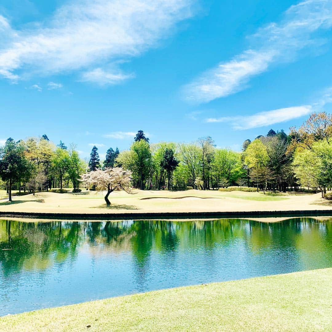 吉田玲奈さんのインスタグラム写真 - (吉田玲奈Instagram)「昨日のゴルフ⛳️最高のポカポカ☀️お天気でした😋最近レギュラーティで100越えやギリギリ90後半で凹みまくっていたのでレディースから🔴43/46  89😘 気持ちよく回りたいからやっぱりレディースティでいいんじゃない？！w😂とか弱気になる… #ゴルフ女子 #golf #ゴルフ大好き #beamsgolf #覆面ゴルファー#reinagolf」4月17日 9時21分 - reina.yoshida.ciel.1218