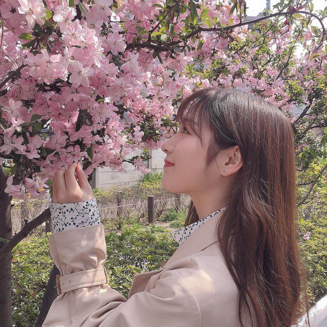 左伴彩佳さんのインスタグラム写真 - (左伴彩佳Instagram)「・ 桜が綺麗でした🌸」4月17日 9時28分 - hidaaya_729