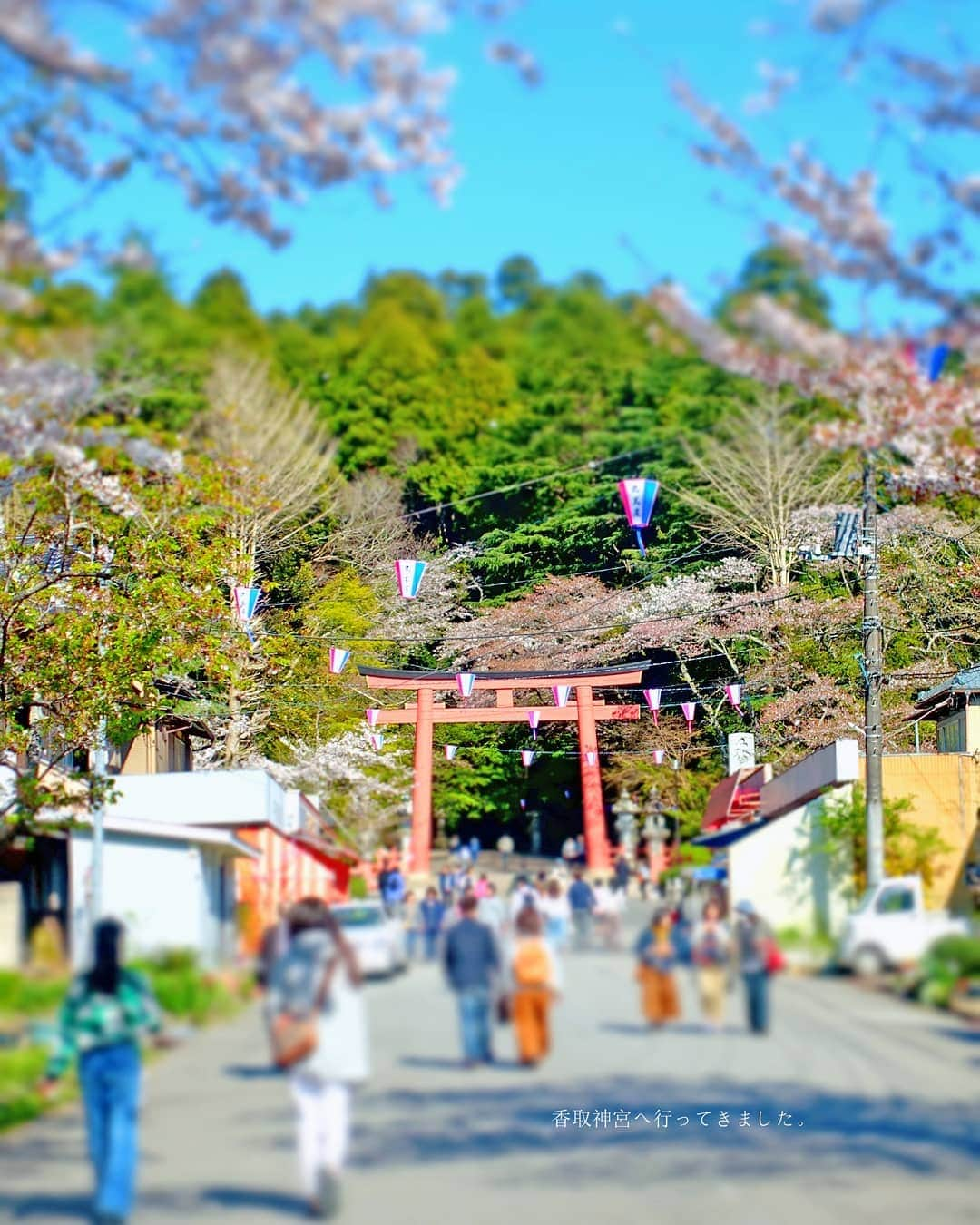 なっつ。さんのインスタグラム写真 - (なっつ。Instagram)「2019.4.17.wednesday 香取神宮へ行ってきました。 桜がまだ咲いててくれて 天気も良く とーっても気持ちよかった😁 ・ ・ ・ #千葉県#香取市#香取神宮#桜#sakura#なっつのイマソラ」4月17日 10時33分 - punipopo