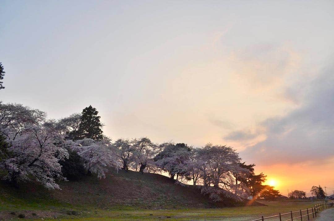 岡田ひとみ（ねんドル）さんのインスタグラム写真 - (岡田ひとみ（ねんドル）Instagram)「Cherry blossom 2019🌸#cherryblossom #sakura #japan #japon #photoshoot #photography #一眼レフ #カメラ #桜 #古墳 #七輿山古墳 #群馬 #ancienttomb」4月17日 10時42分 - hitomi_nendol