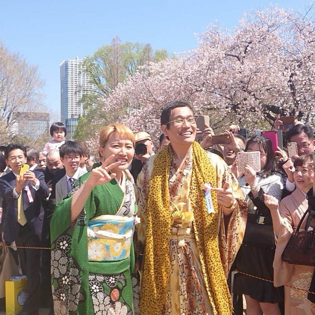 ピコ太郎さんのインスタグラム写真 - (ピコ太郎Instagram)「Cherry blossoms are very beautiful #ppap #pibotaro #japan #cherryblossom」4月17日 10時37分 - pikotaro_ppap_official