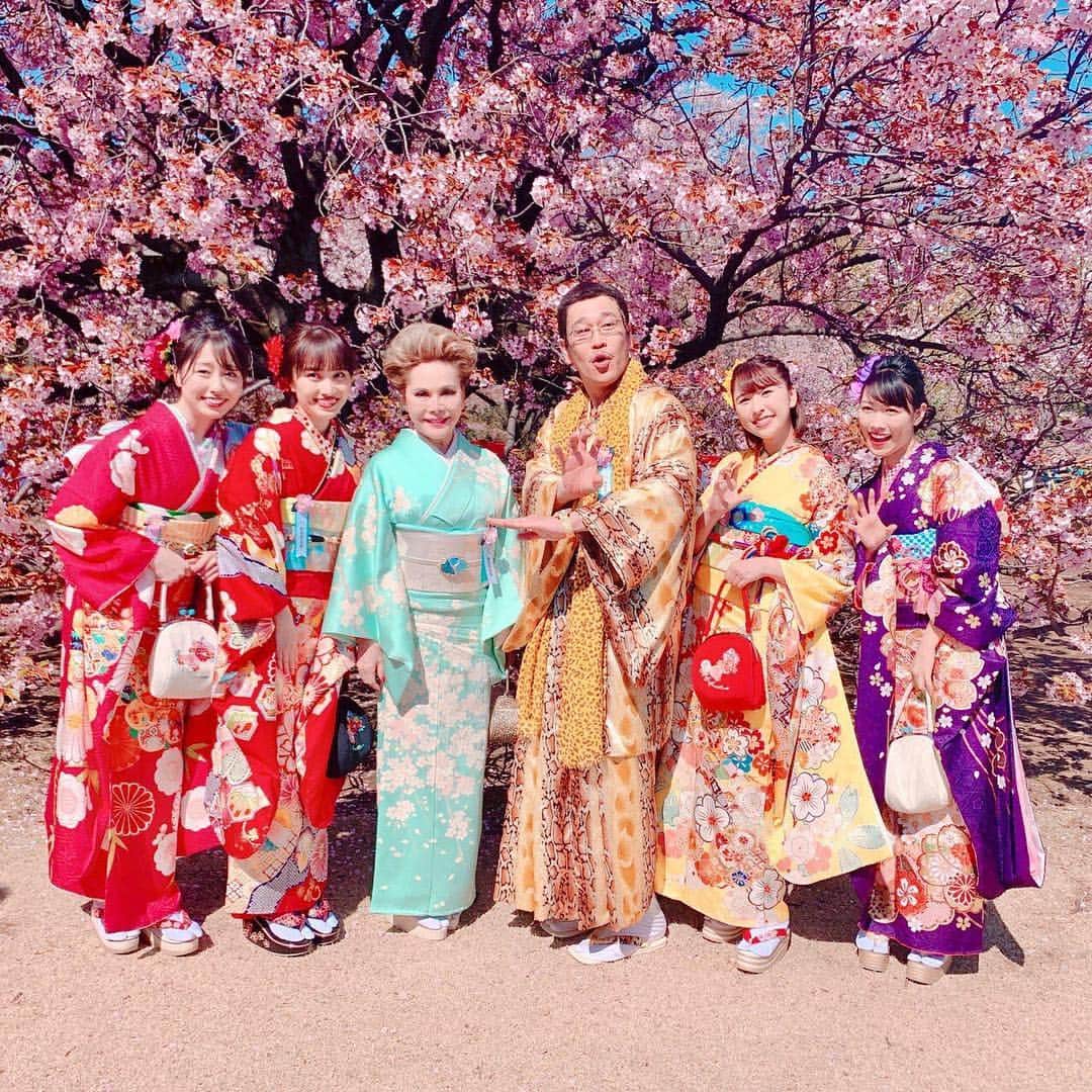 ピコ太郎のインスタグラム：「Cherry blossoms are very beautiful #ppap #pibotaro #japan #cherryblossom」