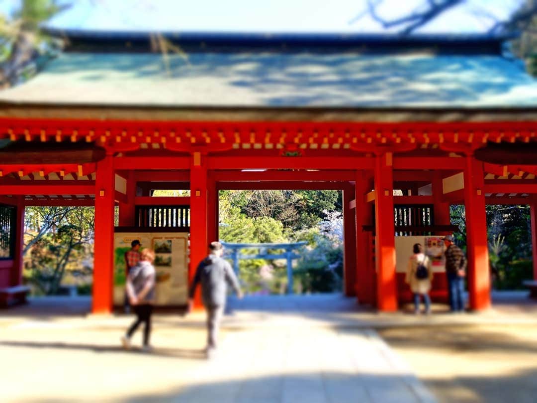 なっつ。さんのインスタグラム写真 - (なっつ。Instagram)「🍀 歴史とか疎くて詳しく調べる とぅちゃんに対して まったくチンプンカンプンな わたしで申し訳ないのだけど こういう神聖な場所にくると 体の中が浄化される感じは とーっても好き😊 優しい空気が流れてる。 ・ ・ ・ #千葉県#香取市#香取神宮」4月17日 10時40分 - punipopo