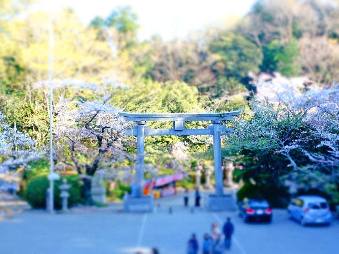 なっつ。さんのインスタグラム写真 - (なっつ。Instagram)「🍀 歴史とか疎くて詳しく調べる とぅちゃんに対して まったくチンプンカンプンな わたしで申し訳ないのだけど こういう神聖な場所にくると 体の中が浄化される感じは とーっても好き😊 優しい空気が流れてる。 ・ ・ ・ #千葉県#香取市#香取神宮」4月17日 10時40分 - punipopo