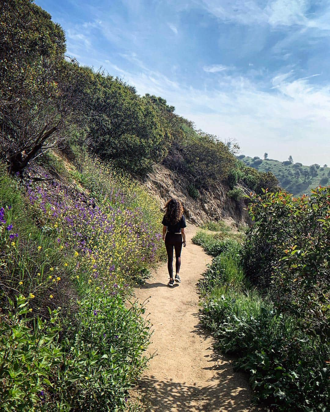 シェイ・ミッチェルさんのインスタグラム写真 - (シェイ・ミッチェルInstagram)「@sleepinthegardn aka the best hiking buddy... and Angel of course.」4月17日 10時48分 - shaymitchell