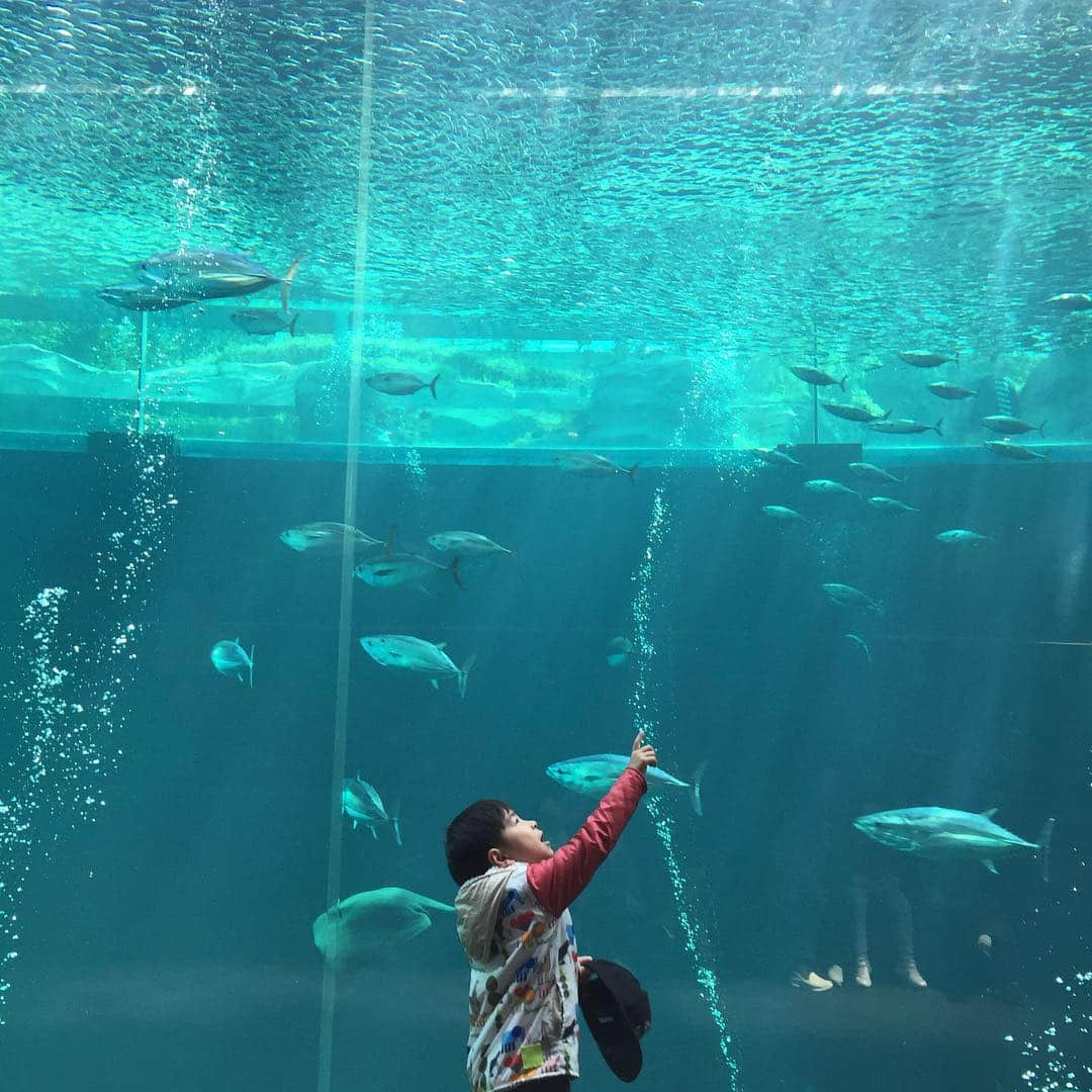 浅越しのぶさんのインスタグラム写真 - (浅越しのぶInstagram)「先日両親の古希を祝い福島、仙台旅行してきました。スパハワイアンズやずんだやうなぎ、焼肉などたくさん思い出できました(^^) アクアマリンふくしまにはたまげた〜。 #福島#仙台#アクアマリンふくしま#旅行#古希#お祝い#テニス」4月17日 10時59分 - shinobu_asagoe_official