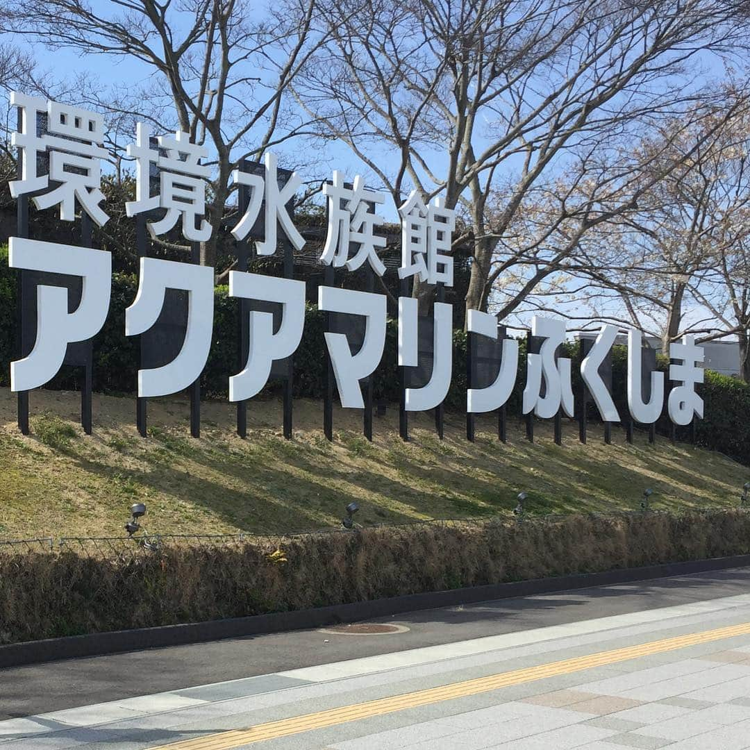 浅越しのぶさんのインスタグラム写真 - (浅越しのぶInstagram)「先日両親の古希を祝い福島、仙台旅行してきました。スパハワイアンズやずんだやうなぎ、焼肉などたくさん思い出できました(^^) アクアマリンふくしまにはたまげた〜。 #福島#仙台#アクアマリンふくしま#旅行#古希#お祝い#テニス」4月17日 10時59分 - shinobu_asagoe_official