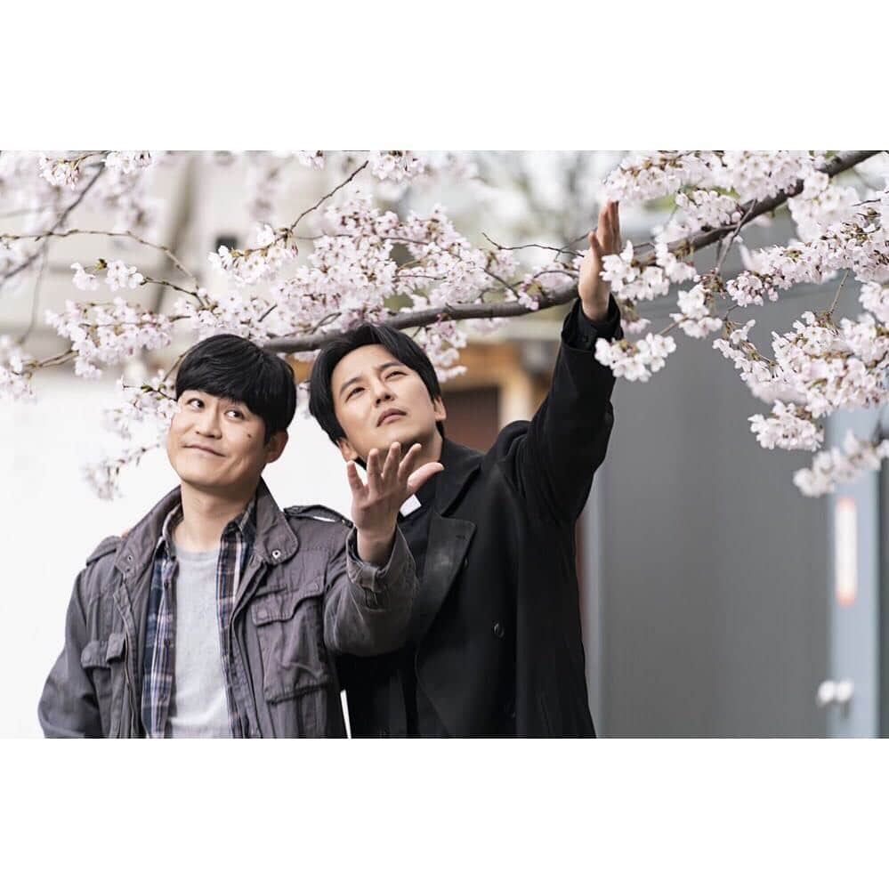 C-JeS エンタテイメントさんのインスタグラム写真 - (C-JeS エンタテイメントInstagram)「#김남길 과 봄을 맞나봄🌸 사이좋은 #열혈사제 벚꽃 인증샷 포착📸 . 마지막까지 열정 폭발! 이번 주 금요일도 #본방사수 👌 . #KimNamgil #キムナムギル #金南佶 #sbs #TheFieryPriest #热血司祭 #씨제스타그램 #cjestagram」4月17日 11時00分 - cjes.tagram