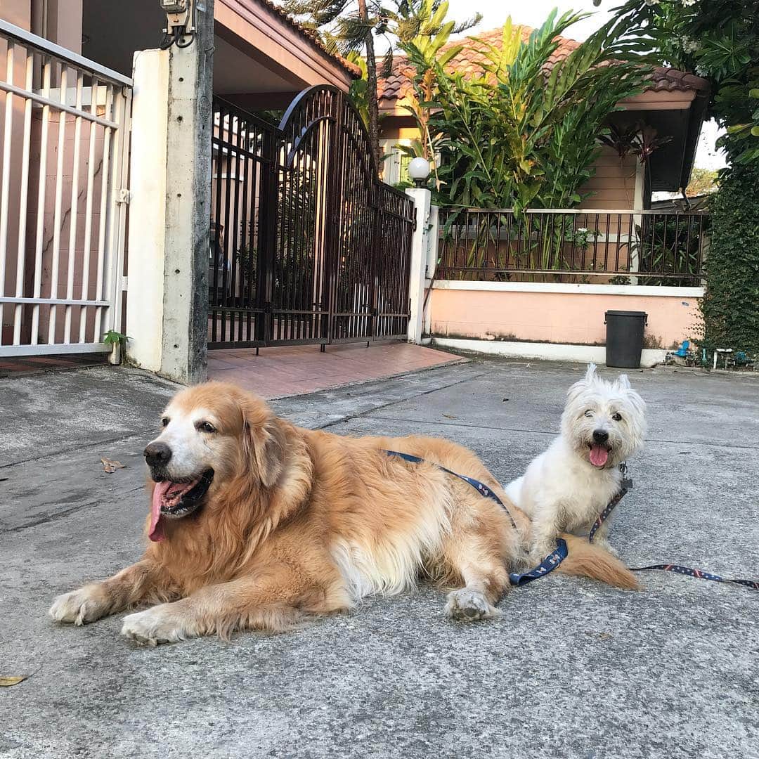 Hoykong&Plamuekのインスタグラム：「Good morning #hkpm」