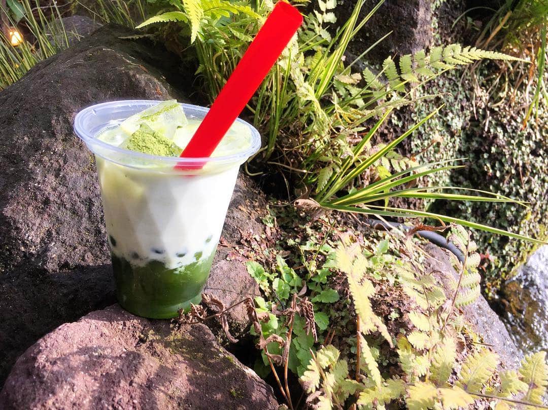 レストランKIYOMIZU東山庭のグルメインスタ