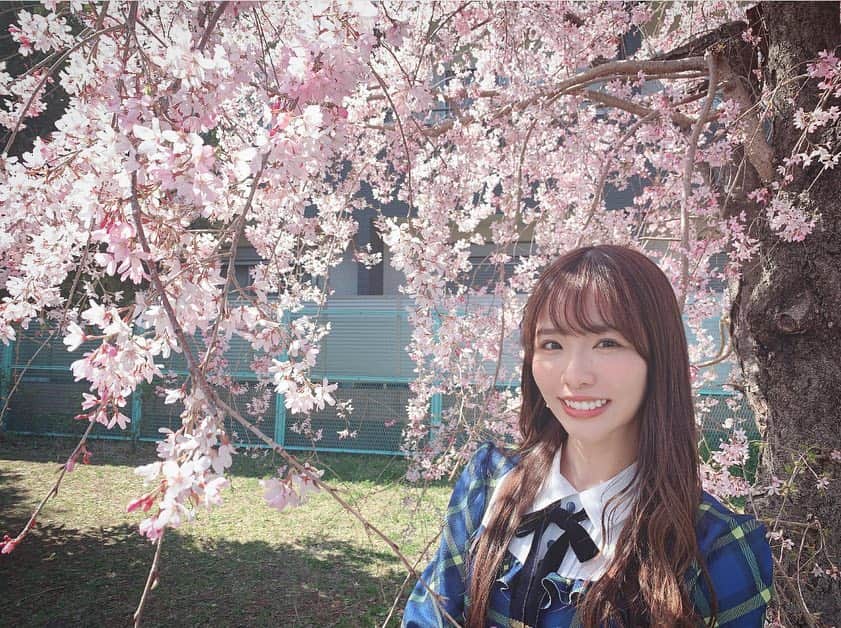 松村香織のインスタグラム：「和光市駅近くの 公園の桜だよ🌸  #せせらぎ公園  #チビッコ公園」